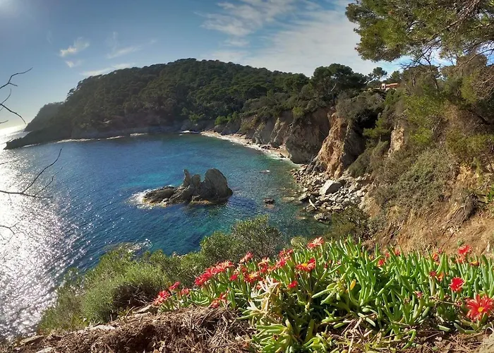 Appartement Proche Port Et Plages, Au Calme